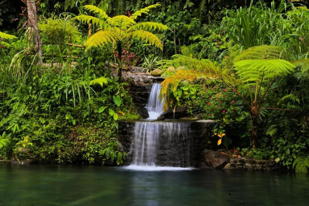 Tetebatu Mountain View Homestay Luaran gambar