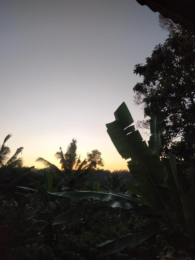 Tetebatu Mountain View Homestay Luaran gambar