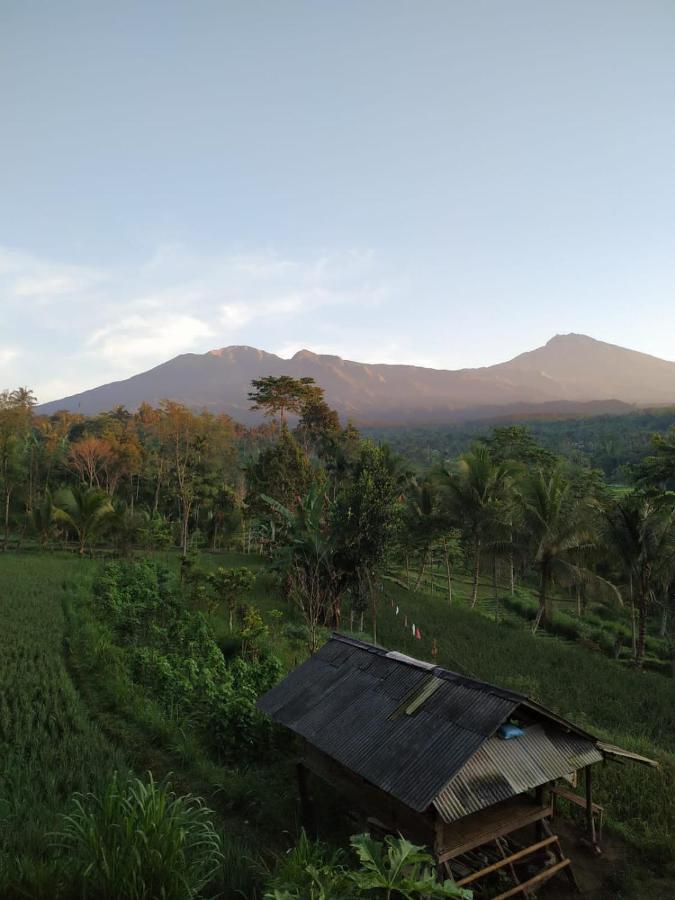 Tetebatu Mountain View Homestay Luaran gambar