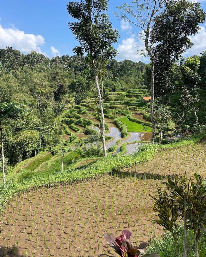 Tetebatu Mountain View Homestay Luaran gambar