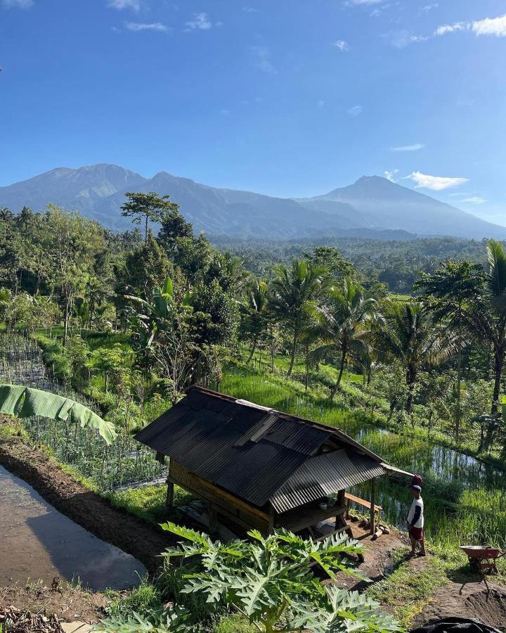 Tetebatu Mountain View Homestay Luaran gambar
