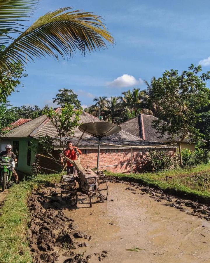 Tetebatu Mountain View Homestay Luaran gambar