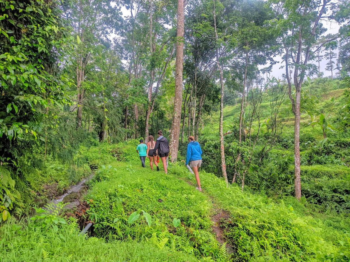 Tetebatu Mountain View Homestay Luaran gambar