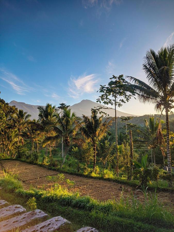 Tetebatu Mountain View Homestay Luaran gambar