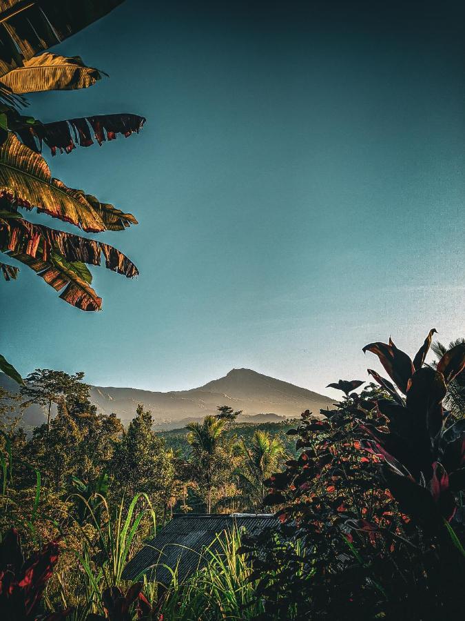 Tetebatu Mountain View Homestay Luaran gambar