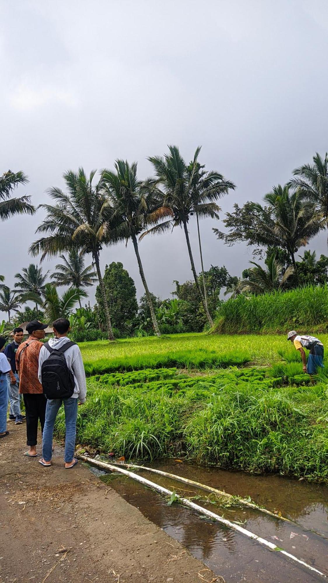 Tetebatu Mountain View Homestay Luaran gambar