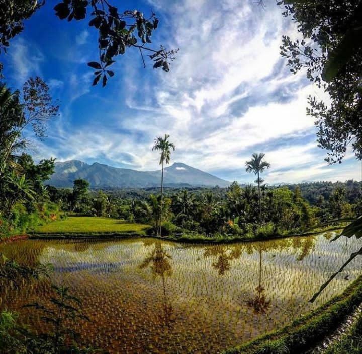 Tetebatu Mountain View Homestay Bilik gambar