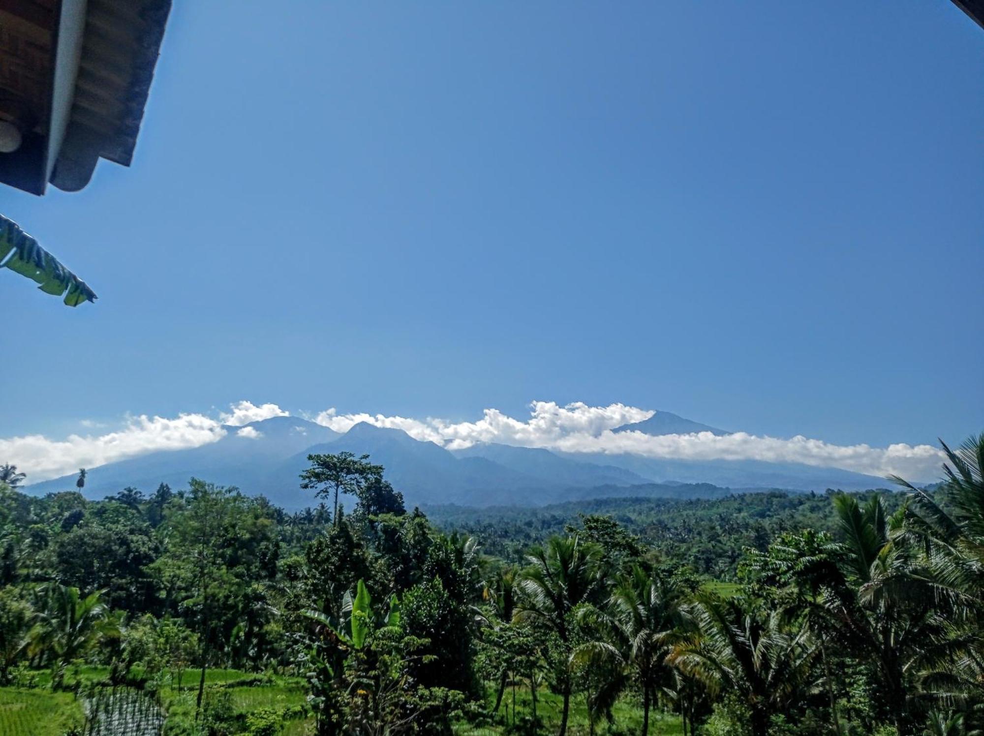Tetebatu Mountain View Homestay Bilik gambar