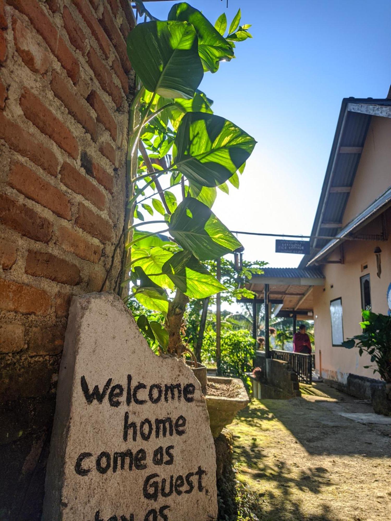 Tetebatu Mountain View Homestay Bilik gambar